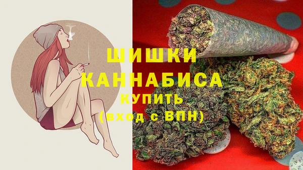 дживик Аркадак